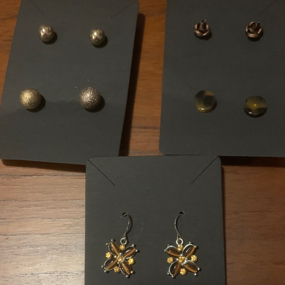 Gold and Brown Earring Set